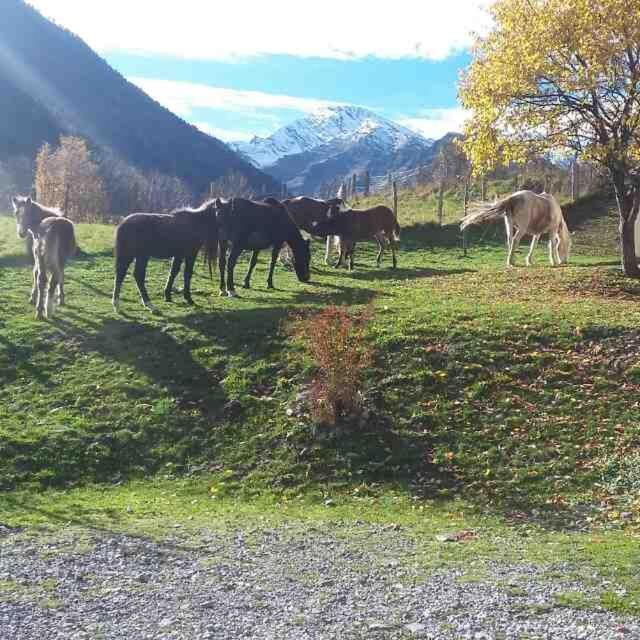 Les D'aure. * Aragnouet